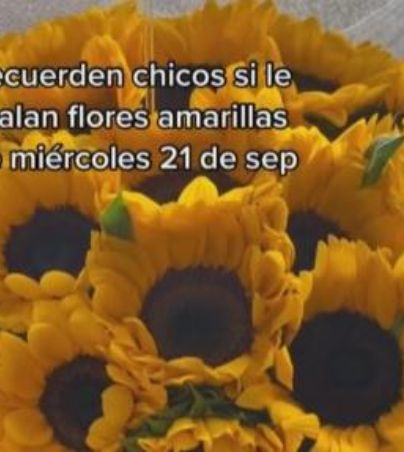 TikTok: ¿por qué se regalan flores amarillas este 21 de septiembre? | Mundo  Reality Viral