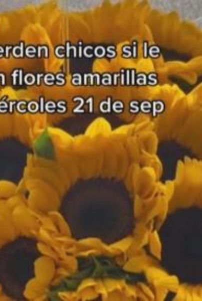 TikTok: ¿por qué se regalan flores amarillas este 21 de septiembre?