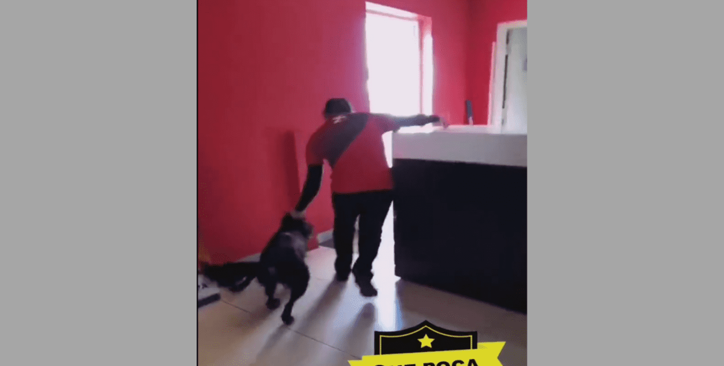 VÍDEO - ¡Indignante! Trabajador de Cinemex maltrata a un perro callejero